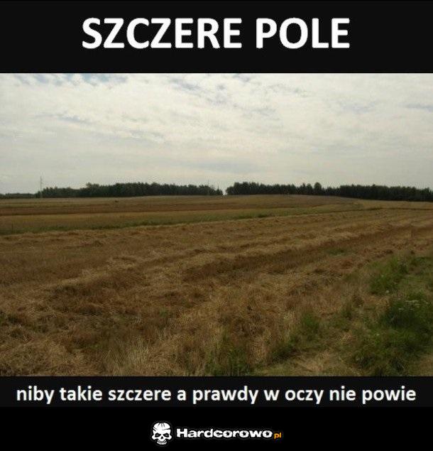 Szczere pole - 1