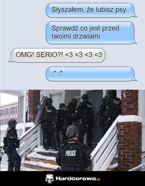 Pieski - 1