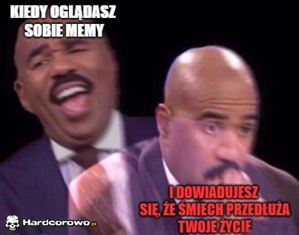 Oglądanie memów - 1