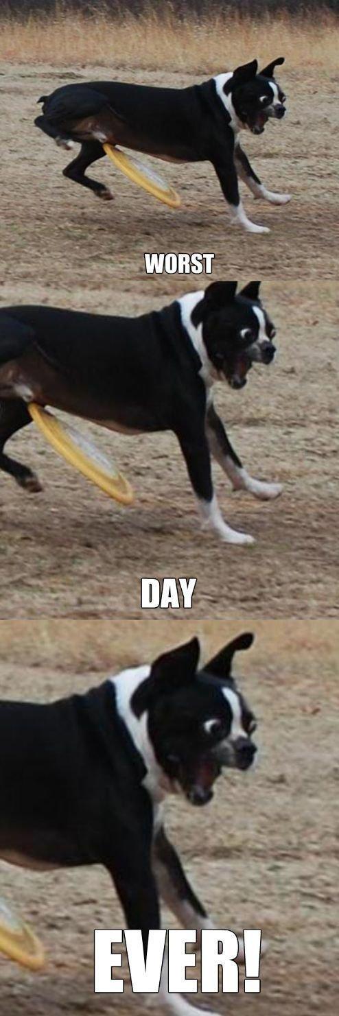 Worst day ever  - 1