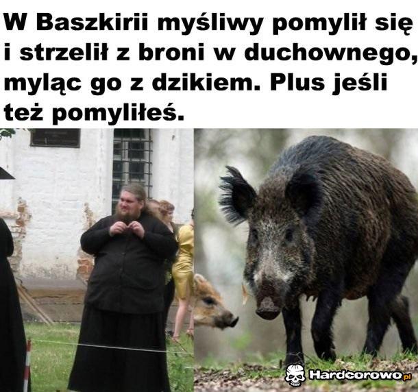 Pomyłka - 1