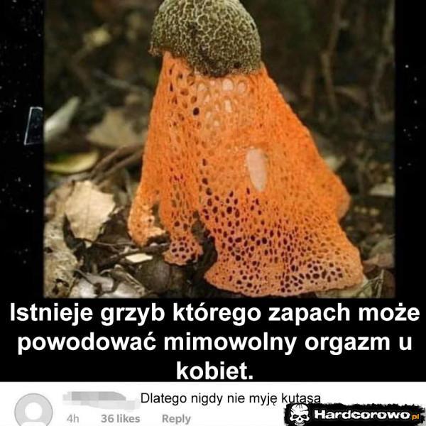  - 1