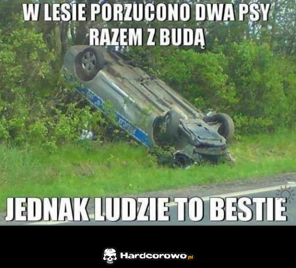 Porzucone psy - 1