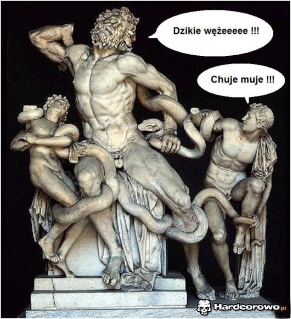 Dzikie węże  - 1