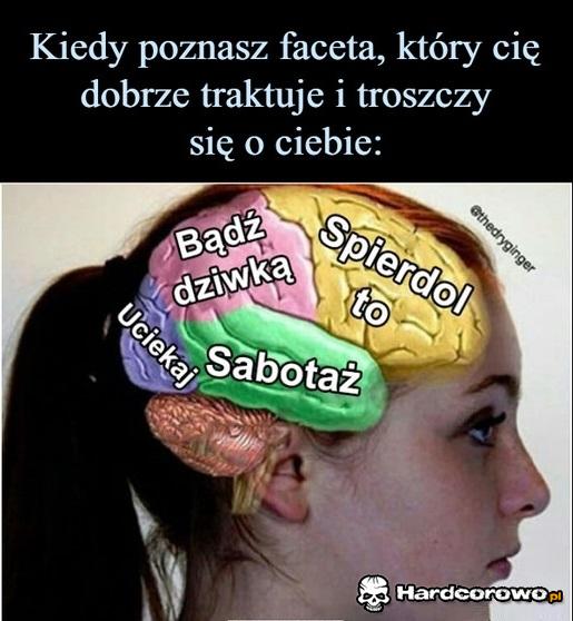 Kobieca logika - 1