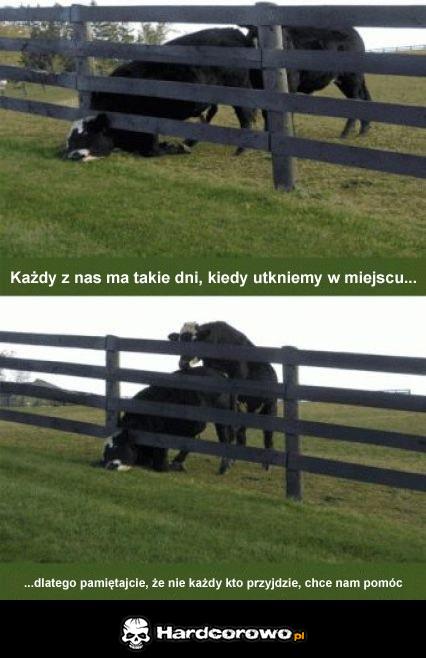 Każdy z nas ma takie dni - 1