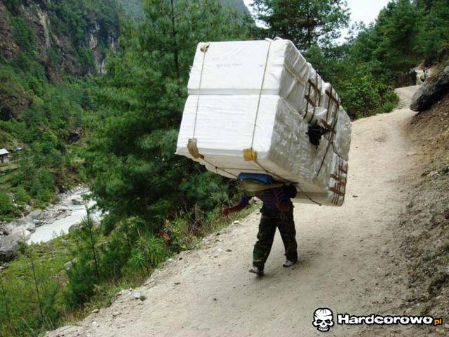 Tani transport - 1
