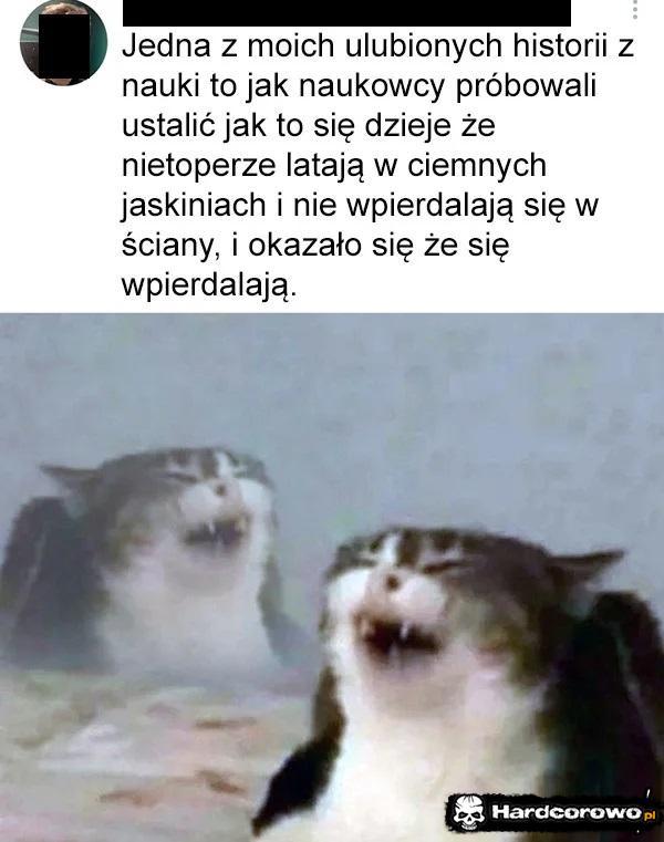 - 1
