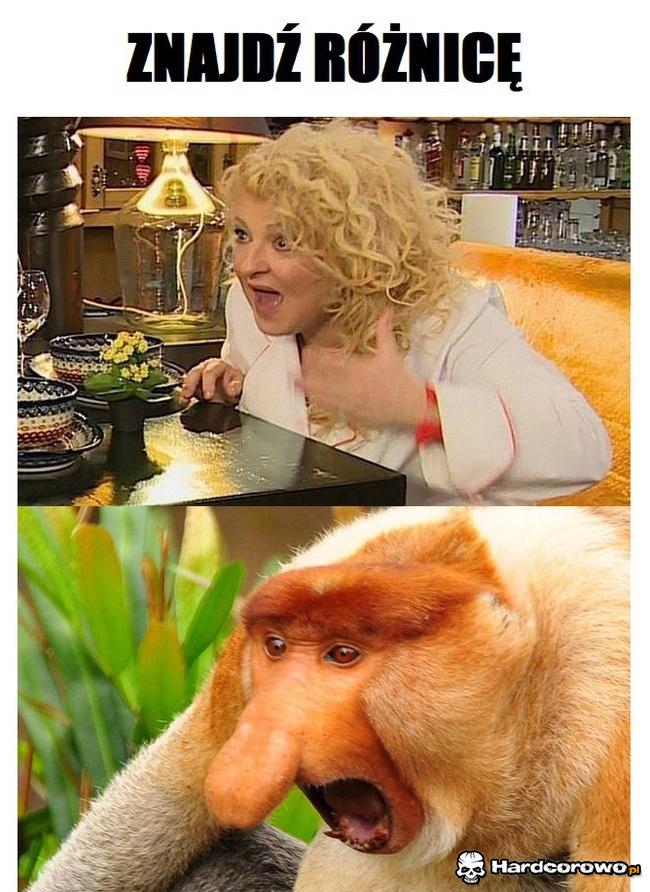 Znajdź różnicę - 1