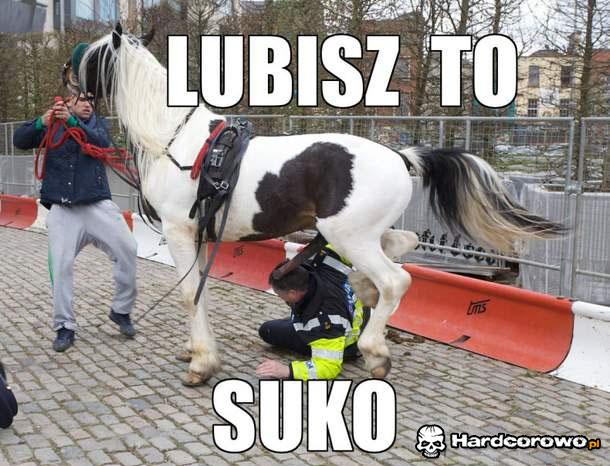 Lubisz to suko - 1