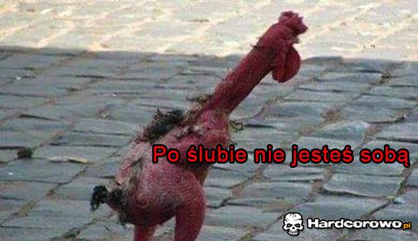 Po ślubie - 1