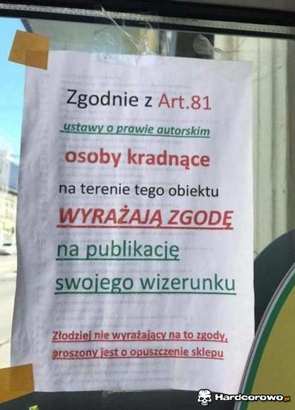 Sposób na kradzieże - 1