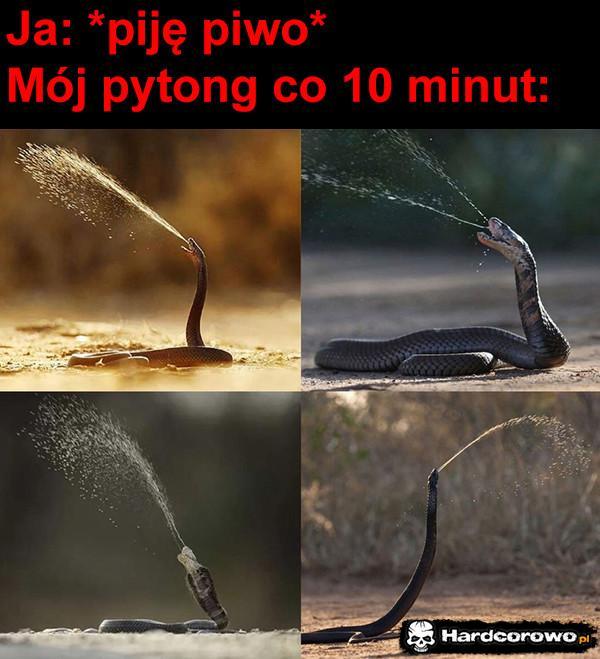  - 1