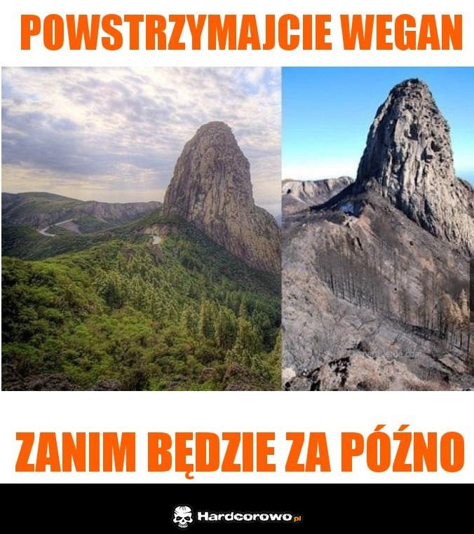Powstrzymajcie wegan - 1
