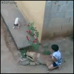 Ale jazda! - 1