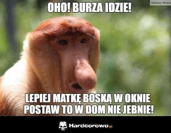 Typowe babcie - 1