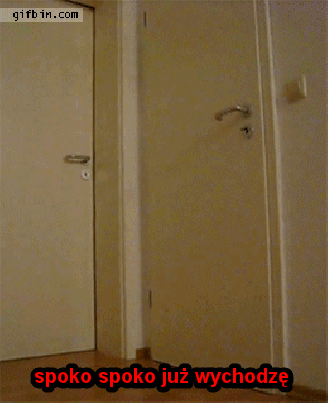 Spoko spoko - 1