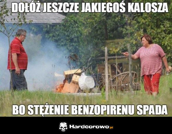 Szybko bo gaśnie - 1