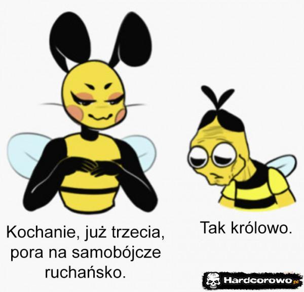  - 1