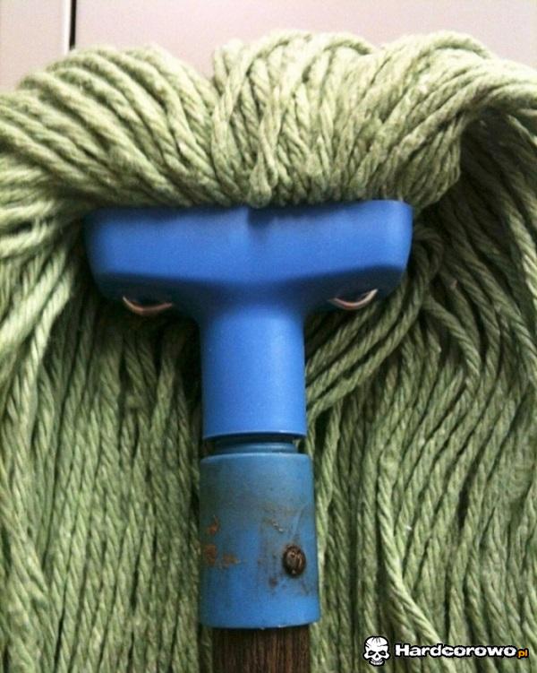 Zły mop - 1