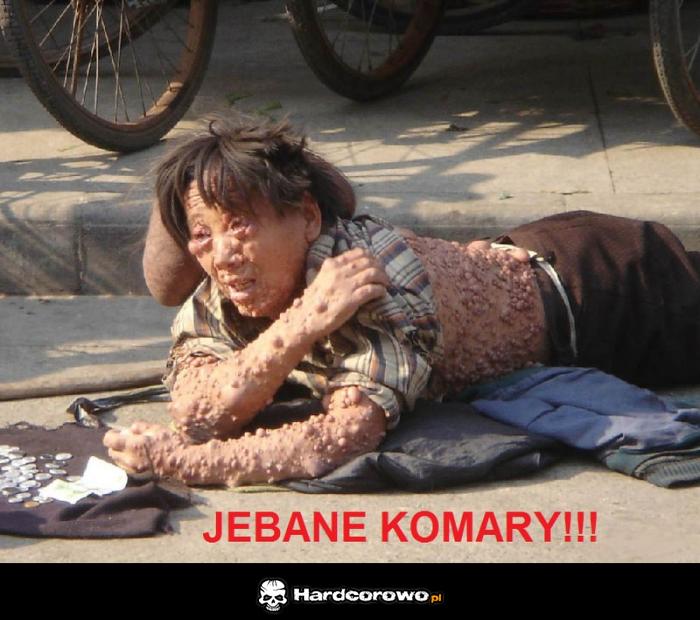 Jebane komary  - 1