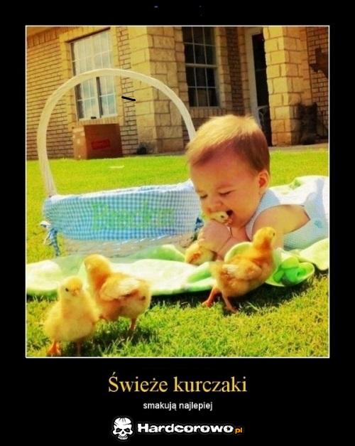 Świeże kurczaki - 1