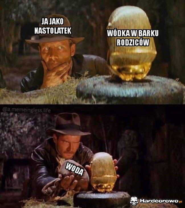 Wódka w barku rodziców - 1