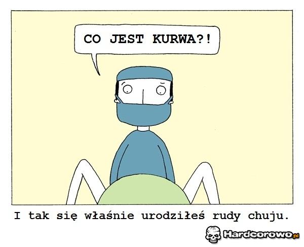 Rudy - 1