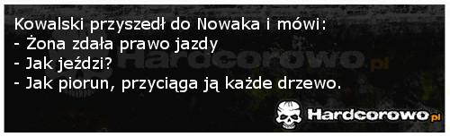 Zdane prawo jazdy - 1