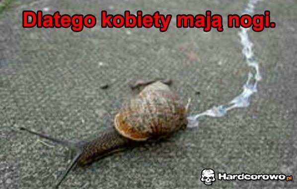 Teraz już wiesz - 1