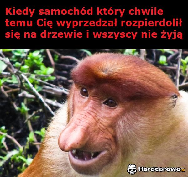 Spieszyło się im na drugą stronę - 1