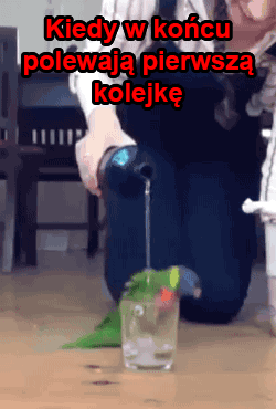 Radość! - 1