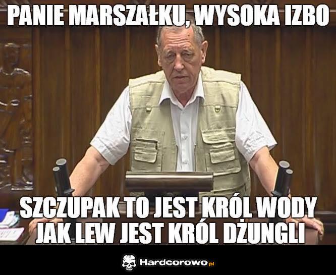 Panie Marszałku - 1
