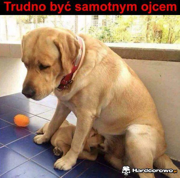 Samotny ojciec - 1