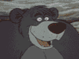 Baloo - 1
