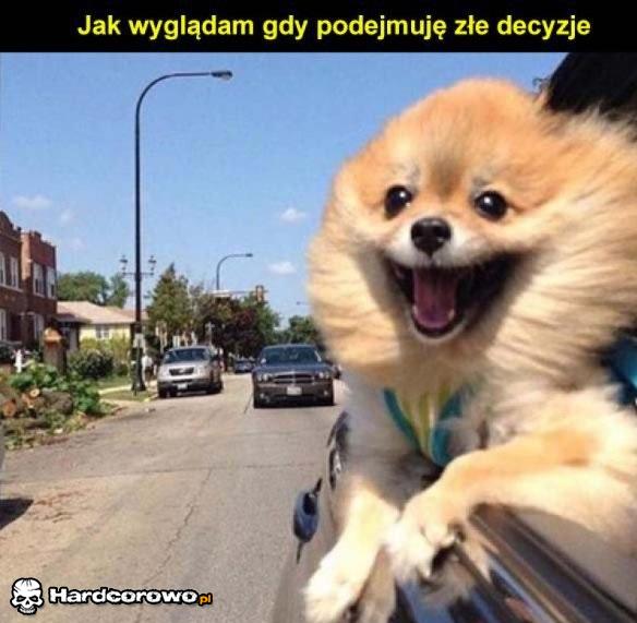 Złe decyzje - 1