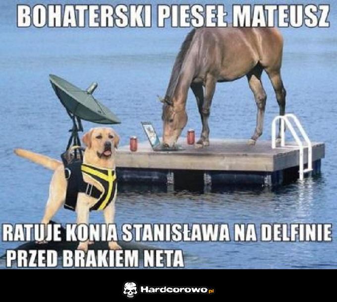 Na ratunek! - 1