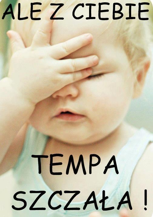 Tempa szczała - 1
