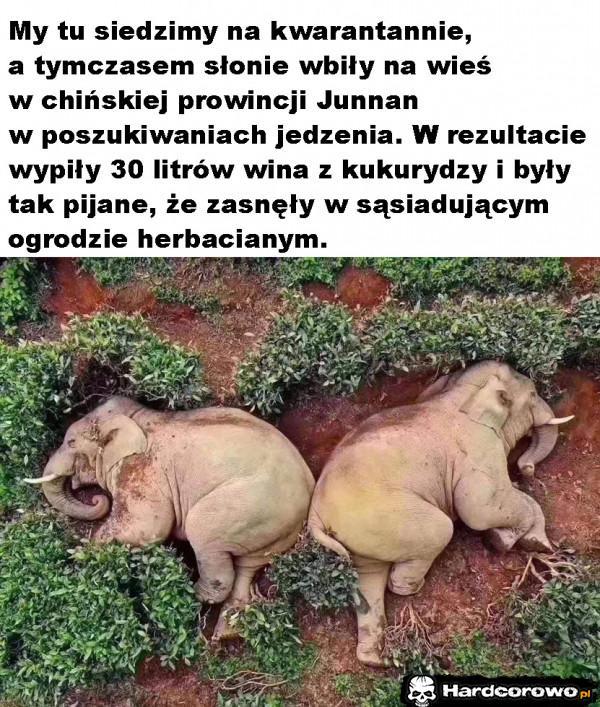  - 1