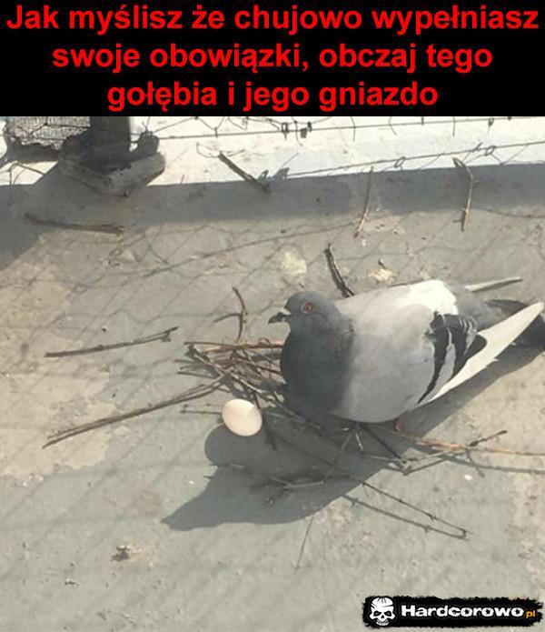  - 1