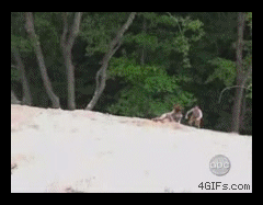 Tarzan ćwiczy  - 1