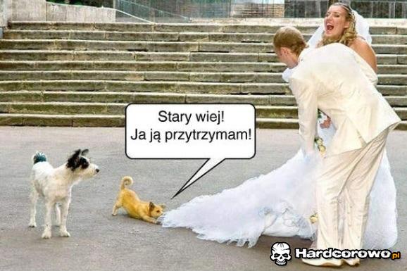 Najlepszy przyjaciel człowieka - 1