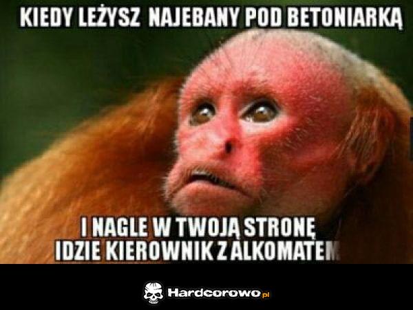 Najgorzej - 1