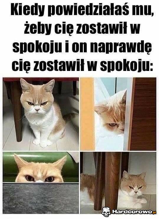 Zostawiony w spokoju - 1