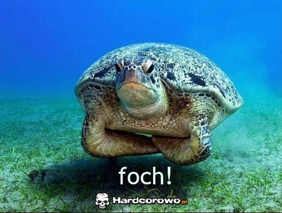 Foch  - 1