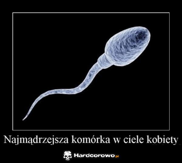 Najmądrzejszą komórka w ciele kobiety - 1