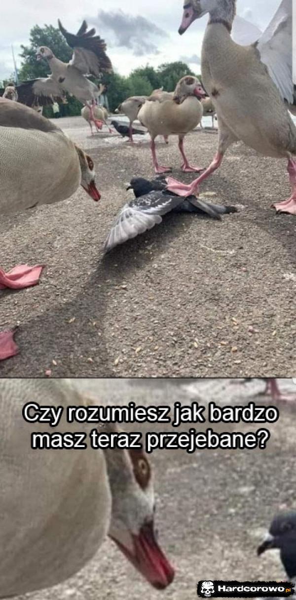  - 1