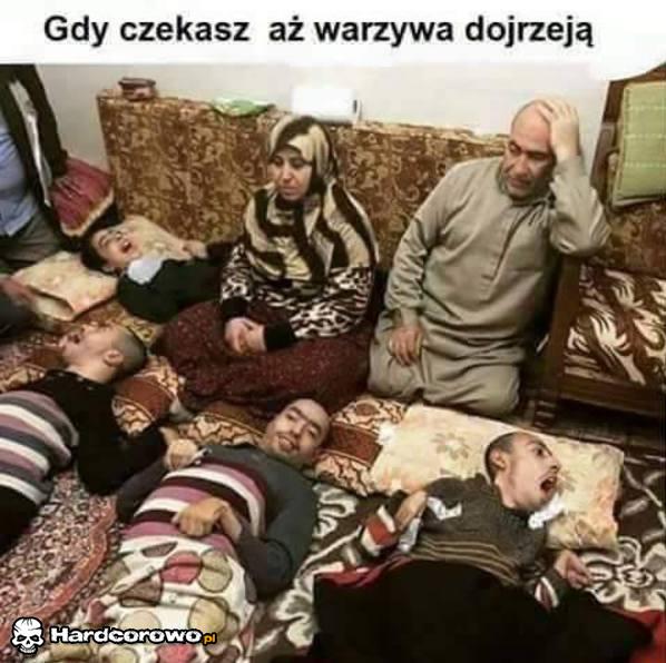 Warzywa - 1