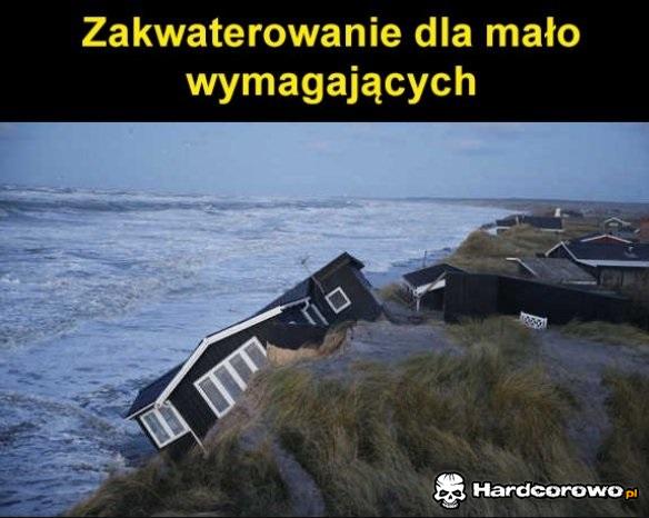 Wygląda spoko - 1