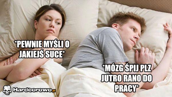 Logika lasek  - 1